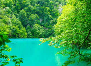 Картинка природа реки озера плитвицкие озёра хорватия озеро водоём вода сине-зеленая зелень деревья ветки листья скалы лето