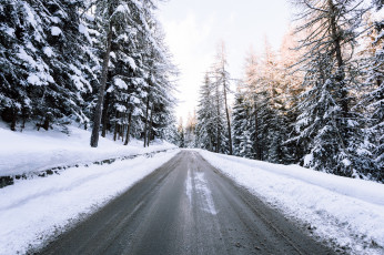 Картинка природа дороги дорога зима лес