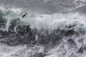 Картинка природа моря океаны вода стихия океан волна брызги тупик