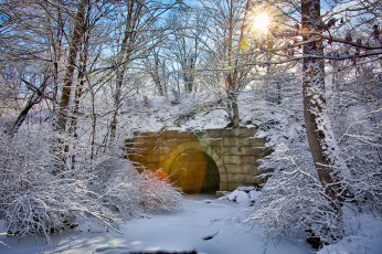 Картинка природа зима мост свет снег лес