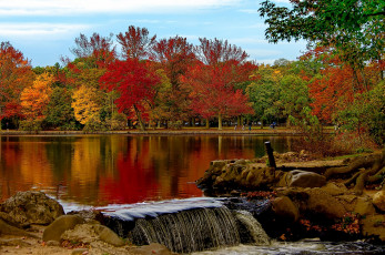 Картинка природа реки озера деревья озеро belmont lake state park babylon осень парк штат нью-йорк вавилон белмонт new york