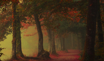 Картинка природа дороги деревья дорога осень туман