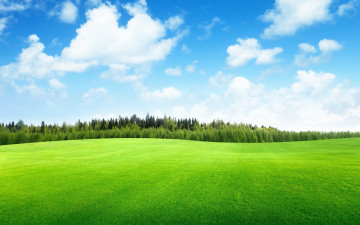 Картинка природа луга небо облака роща деревья трава луг поле