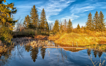 Картинка природа реки озера озеро лес пейзаж
