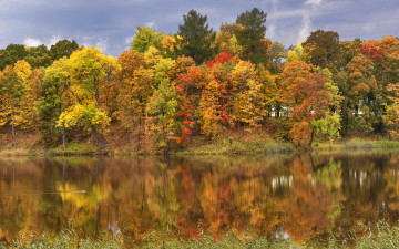 Картинка природа реки озера санкт-петербург россия желтые листья деревья река осень pavlovsk