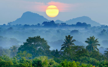 Картинка природа восходы закаты туман тропики красота рассвет солнце пальмы деревья горы лес