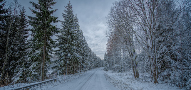 Обои картинки фото природа, дороги, дорога, зима, лес