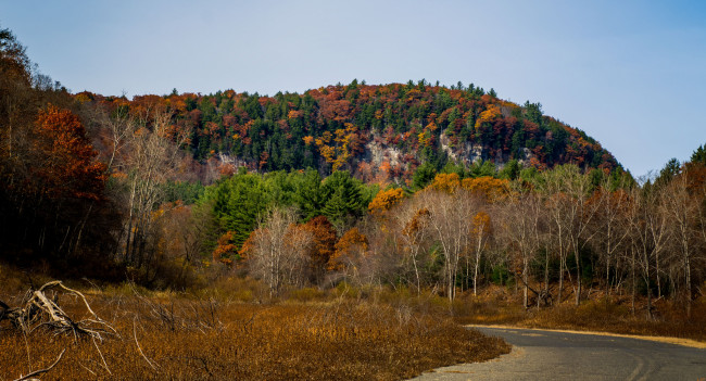 Обои картинки фото природа, дороги, осень, лес, шоссе