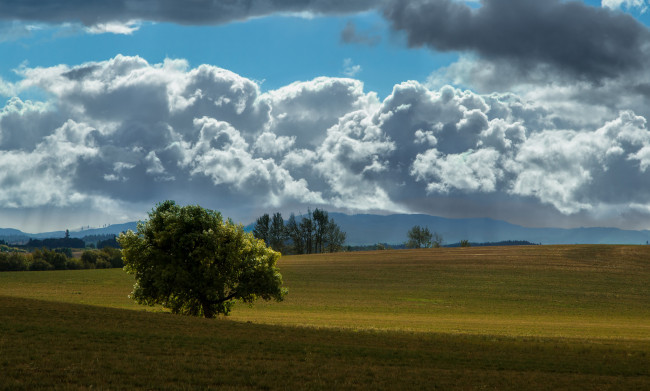 Обои картинки фото природа, пейзажи, небо, пейзаж, дерево, облака