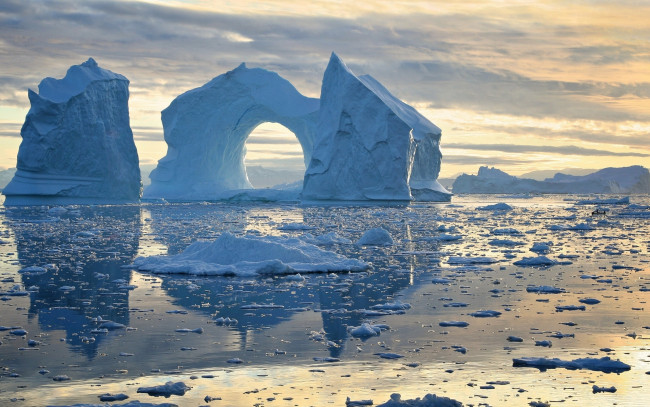 Обои картинки фото природа, айсберги и ледники, белка, рыжая, хвост, камень