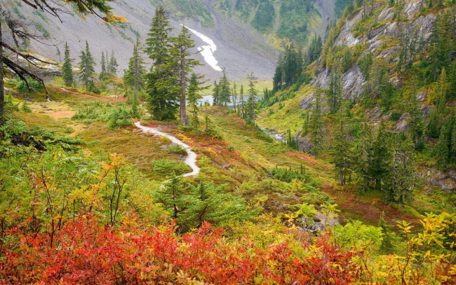 Обои картинки фото природа, горы, деревья, осень, кусты