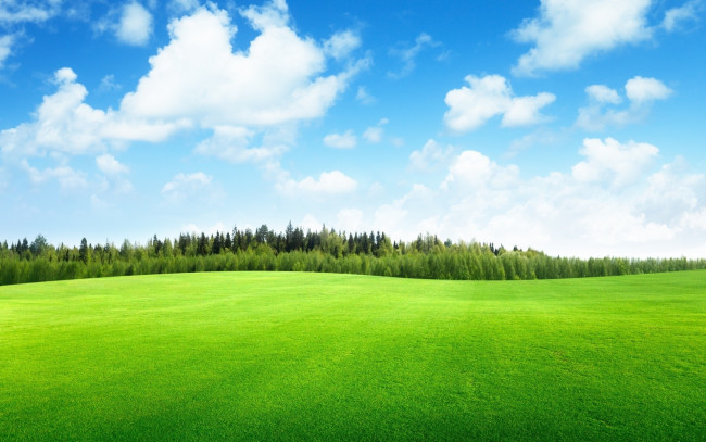 Обои картинки фото природа, луга, небо, облака, роща, деревья, трава, луг, поле