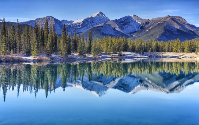 Обои картинки фото природа, реки, озера, canadian, rockies, canada, kananaskis, country, forgetmenot, pond, alberta, альберта, кананаскис, канадские, скалистые, горы, канада, озеро, деревья, отражение