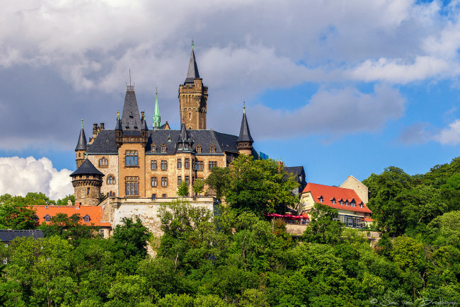 Обои картинки фото kasteel wernigerode, города, замки германии, лес, холм, замок