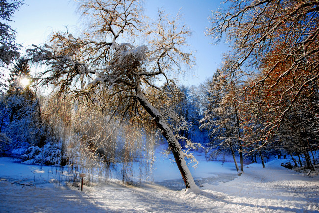 Обои картинки фото природа, зима, ручей, снег, деревья, лес