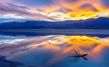 Картинка природа реки озера коряга озеро горы восход