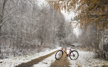 обоя техника, велосипеды, велосипед, осень, снег, лес