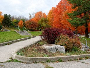 Картинка природа парк аллея осень