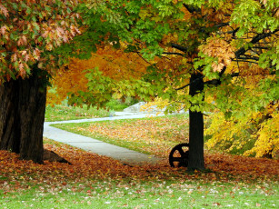 Картинка природа парк листопад осень