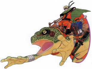 Картинка аниме naruto вещи жаба наруто