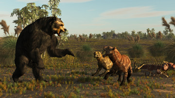 Картинка 3д+графика животные+ animals медведь