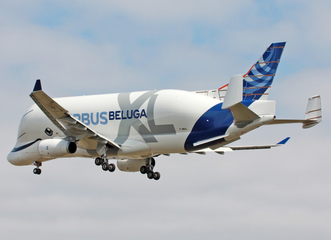 Обои картинки фото bellugaxl, авиация, грузовые самолёты, грузоперевозки