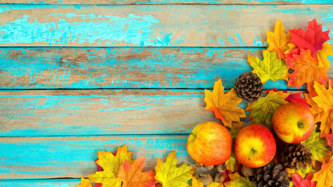 Обои картинки фото еда, Яблоки, листья, яблоки, шишки, осень