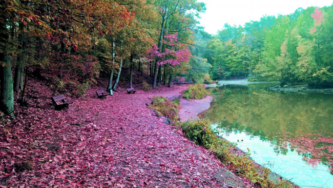 Обои картинки фото природа, реки, озера, осень, река, скамейка
