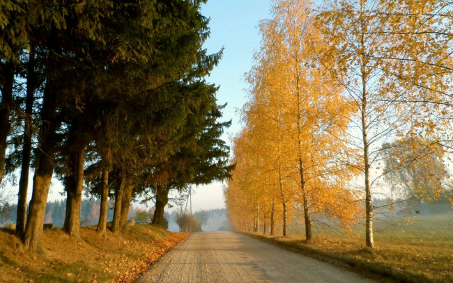 Обои картинки фото природа, дороги, деревья, дорога, осень
