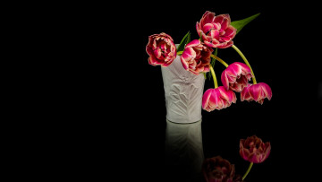Картинка цветы тюльпаны ваза отражение