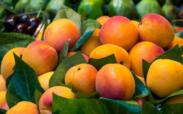 Картинка еда персики +сливы +абрикосы фрукты листья много урожай