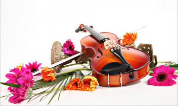 Картинка музыка музыкальные инструменты скрипка герберы