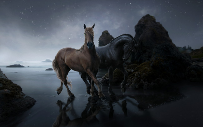 Обои картинки фото 3д, графика, animals, животные, кони, камни, вода