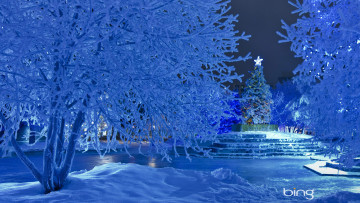 Картинка праздничные новогодние пейзажи зима снег деревья ёлка