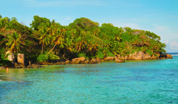 Картинка сейшелы baie sainte anne природа тропики берег море