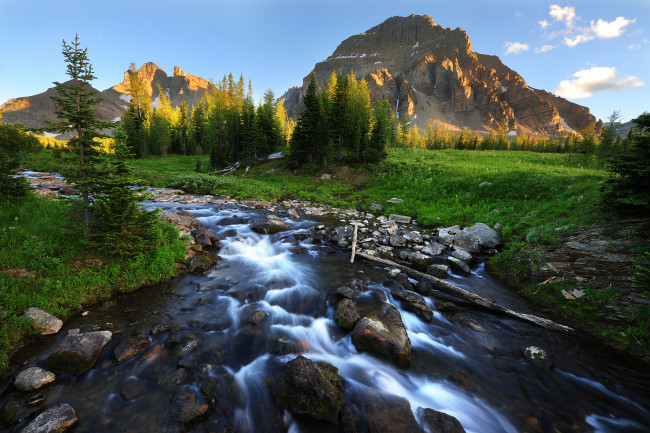 Обои картинки фото природа, реки, озера, деревья, камни, пейзаж, горы, речка
