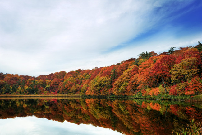 Обои картинки фото природа, реки, озера, осень, лес, вода, отражение
