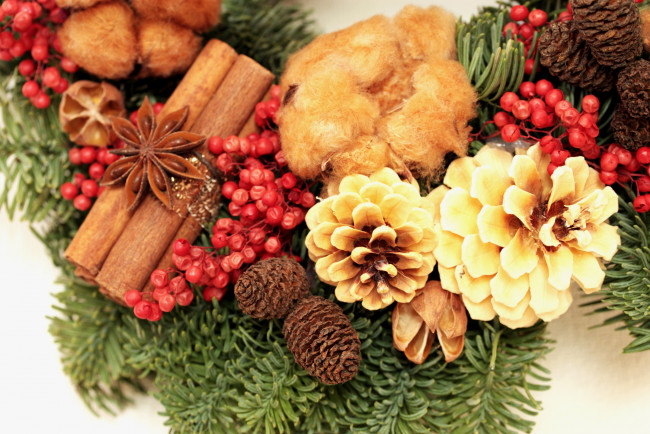Обои картинки фото праздничные, разное, новый, год, бадьян, елка, ягоды, шишки, корица