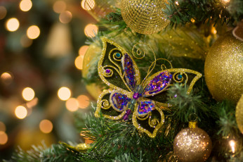 Картинка праздничные украшения бабочка