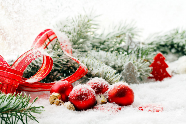 Обои картинки фото праздничные, шарики, ветка, лента, снег, красный
