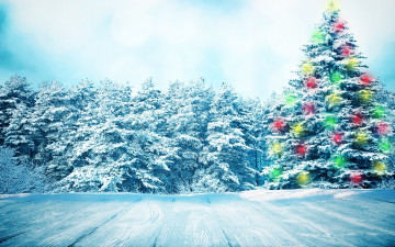 обоя праздничные, Ёлки, nature, снежинки, зима, снег, елка, snow, winter, лес
