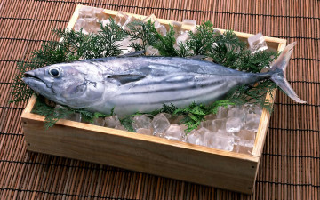 обоя еда, рыба,  морепродукты,  суши,  роллы, тунец