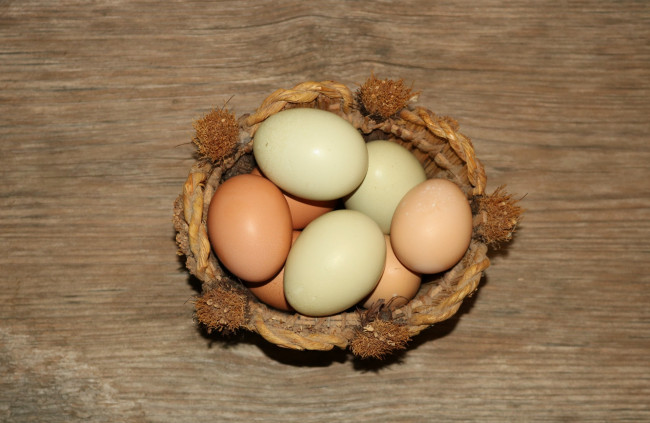 Обои картинки фото еда, Яйца, яйца, свежие
