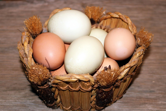 Обои картинки фото еда, Яйца, яйца, свежие