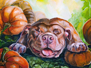 Картинка рисованное животные +собаки собака тыквы