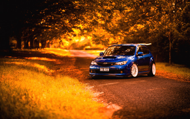 Обои картинки фото автомобили, subaru, субару, синий, осень