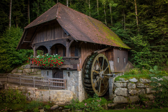 Обои картинки фото разное, мельницы, лес, мельница, колесо, цветы