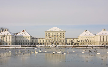 Картинка города здания дома лебеди зима озеро птицы