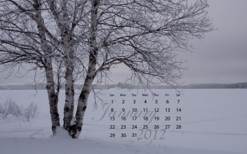 обоя календари, природа, деревья, снег, зима