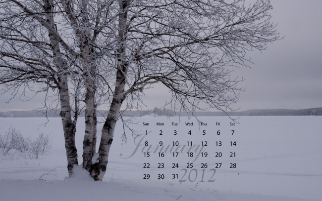 Обои картинки фото календари, природа, деревья, снег, зима